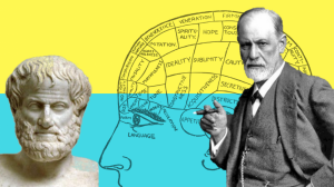 Psychology’s rising popularity with Maltese teens overtakes Philosophy at Sixth Form
