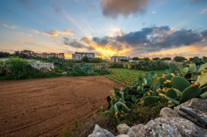 Developers insist on seven floors on mega rationalisation site in Swatar