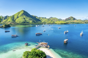 Tsunami warning lifted after 7.4 earthquake strikes Indonesia