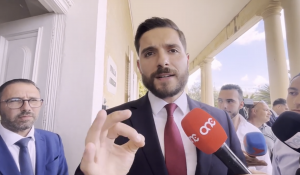 WATCH | Borg says PN will release more details on mass transport proposal 'in the coming days'