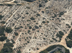 Malta’s cart ruts formed part of Roman-era transport network, study finds
