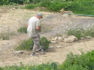 Killing a bird is more than a wildlife crime