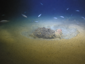 Interconnect Malta clears 117 wartime bombs from second Malta-Sicily cable route