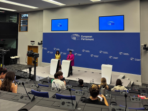 EP Vice President calls for balanced approach to Gaza conflict: ‘Both sides have made mistakes’