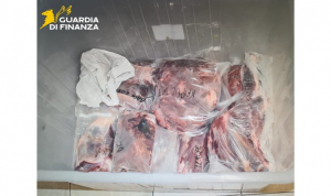 Six Maltese men investigated over illegal wild boar hunting fined €3,000 each by Sicilian court