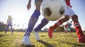 NGOs: 'Government using sport as Trojan Horse to threaten environment'
