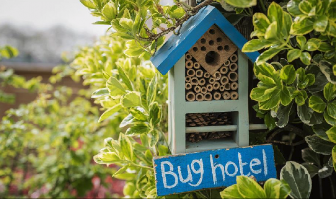 ‘Bug hotel’ proposed in Project Green’s plans for Mqabba ‘sensory park’