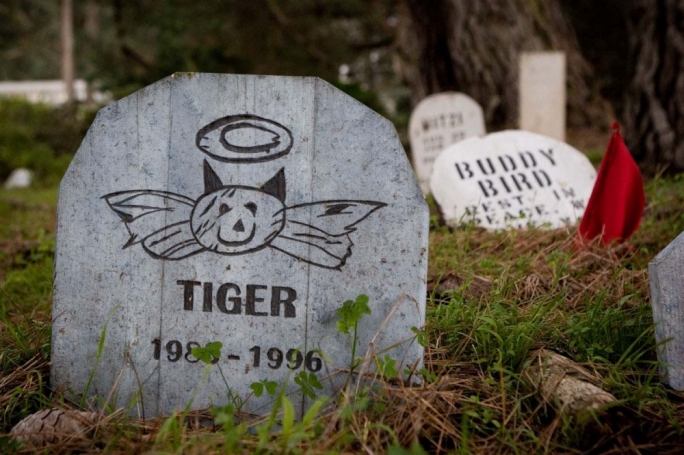 Pet cemetery exempted from EIA