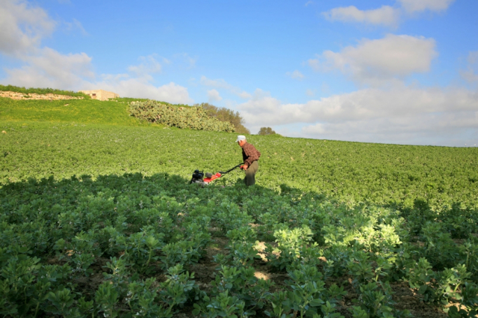Malta’s misfiring of Organic Food Action Plan