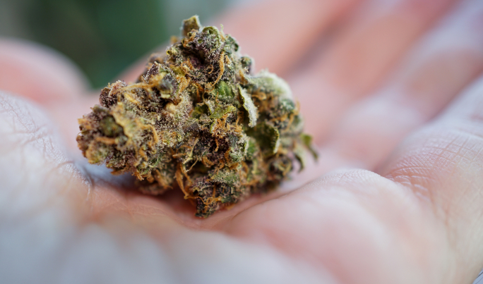 Man handed probation after cannabis grow room found in Qormi garage 13 years ago