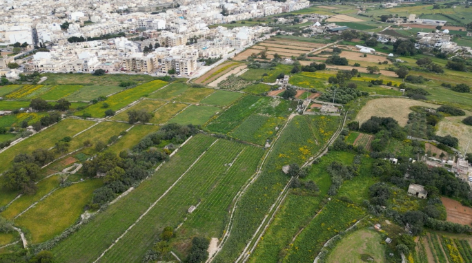 Agricultural organisations 'surprised and relieved' by agricultural land preservation regulations