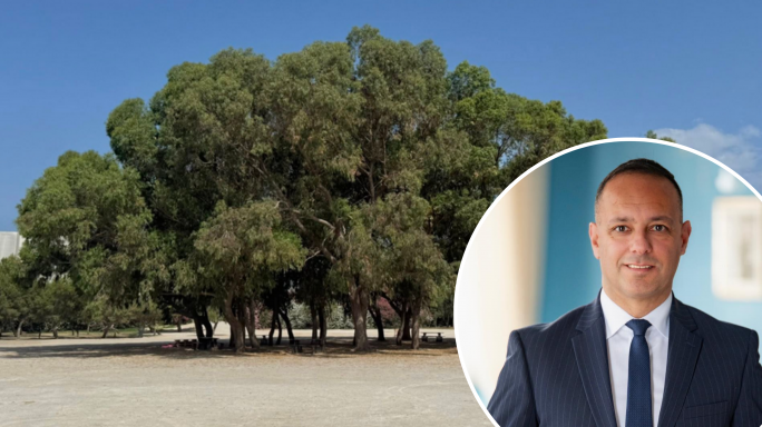Jason Micallef slams 'fake news' after concerns over gravel installed at Ta' Qali's picnic area