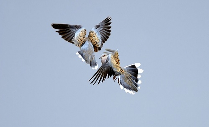 Minister regrets hunters’ ‘right of reply’