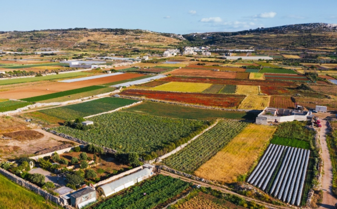 Malta has highest farmland prices in EU