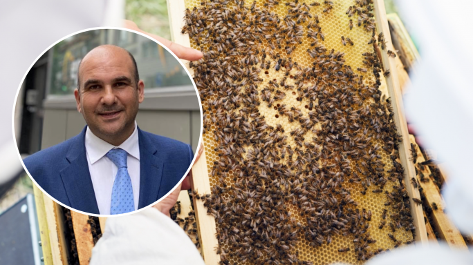 MEP Peter Agius says government acted too late on Malta's hornet crisis