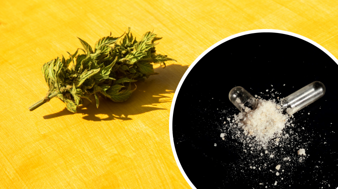 Teen on holiday charged with drug trafficking after Paceville police operation