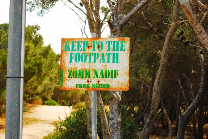 Hunting for votes: How cunning is Abela’s Miżieb plan?