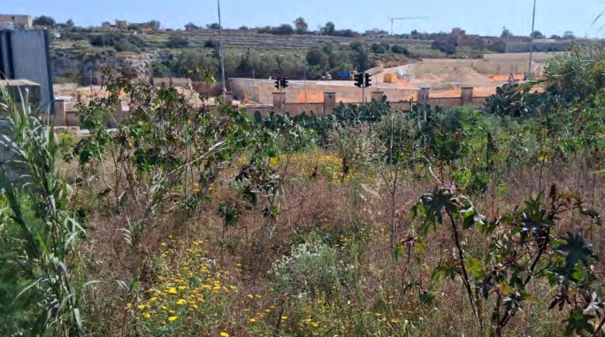 Environment watchdog objects to proposed Marsaskala elderly home on ODZ land