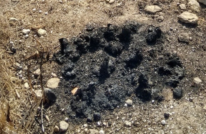 Suspicions that ‘envious’ beekeeper is behind Gozo arson attack