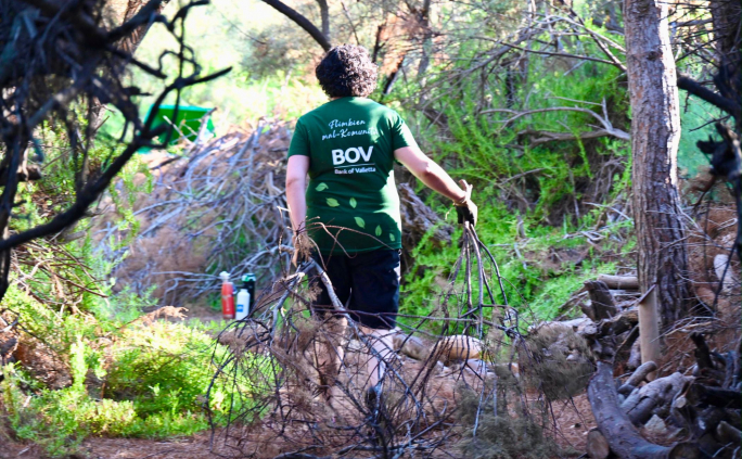 First edition of the BOV Social Week turns employee action into community impact