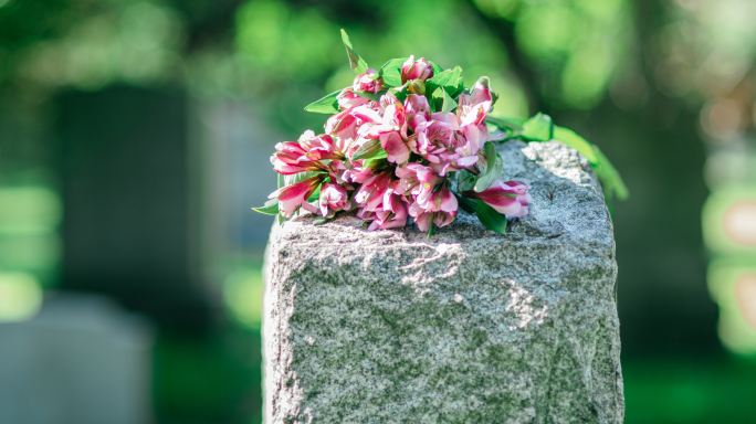 Shop owner fined for failing to issue fiscal receipts during cemetery inspection