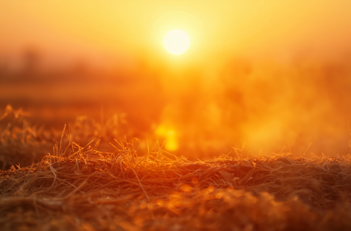 Italian heatwaves, droughts drive inflation in Malta