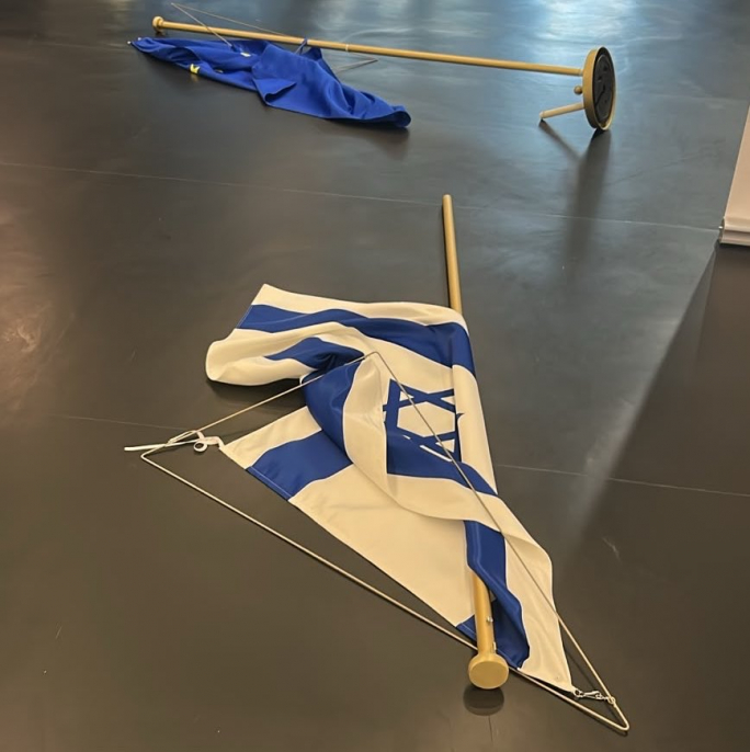 French MEP Rima Hassan removes Israeli flag from EP exhibition, protesting ‘unbearable double standards'