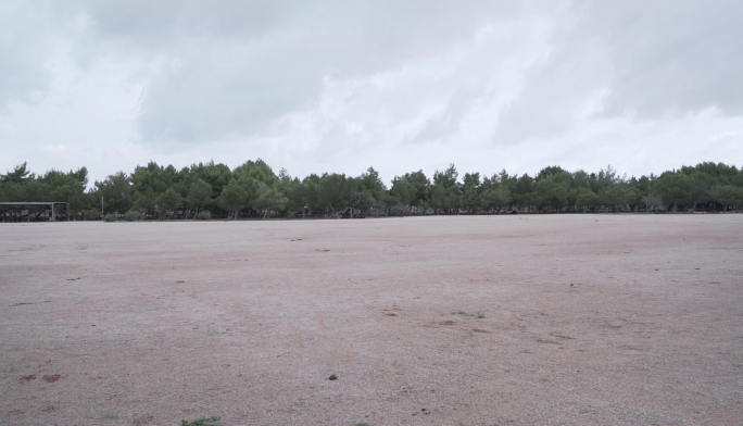 WATCH | Ta’ Qali: More mass events would make regeneration useless, expert says