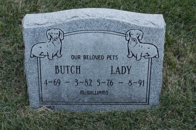 Pet cemetery still needs an environmental permit