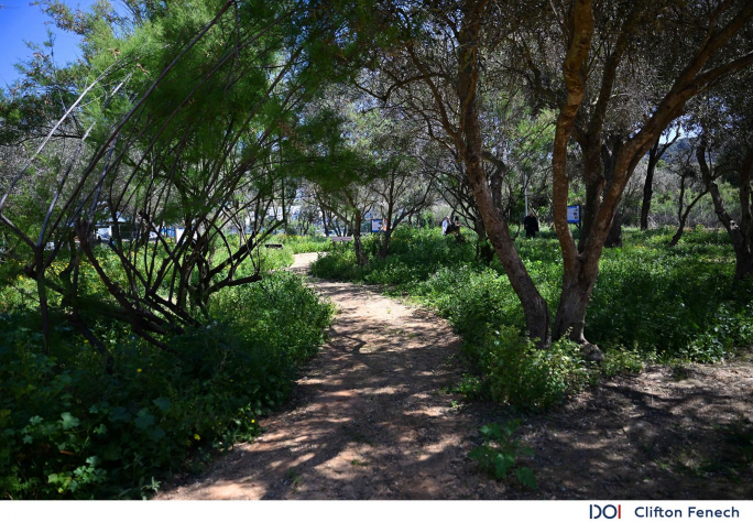 New green space opens in St Pauls Bay