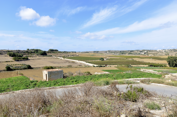Farmland reform seeks to protect Malta’s food production potential
