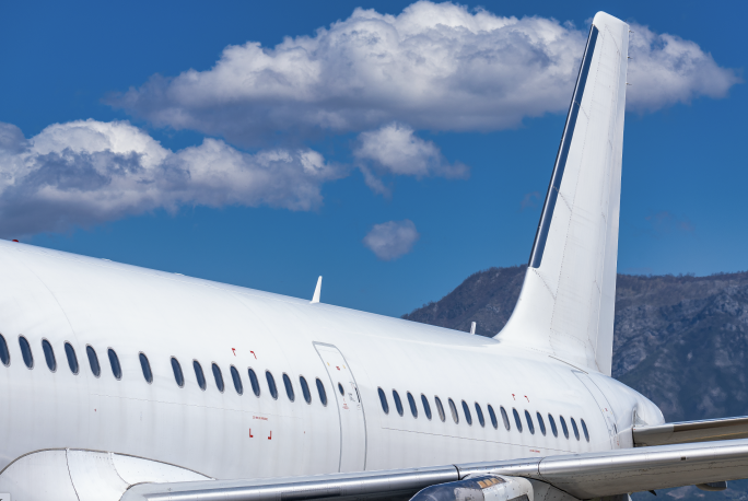 Court issues interim measure halting deportation of Albanian national | Andrew Drago