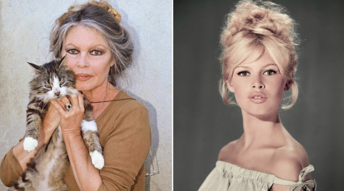 Actress Brigitte Bardot dies aged 91