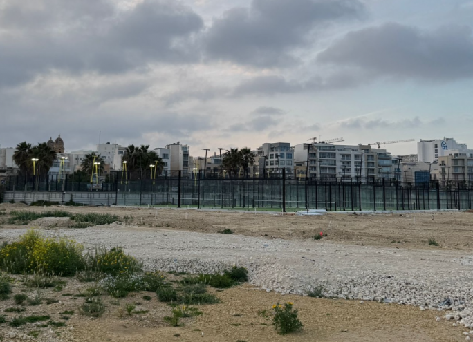 Momentum questions padel court construction on Manoel Island amid national park plans