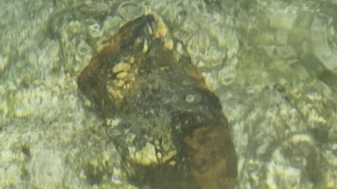 Pre-WWI shell recovered from seabed off Għar Lapsi
