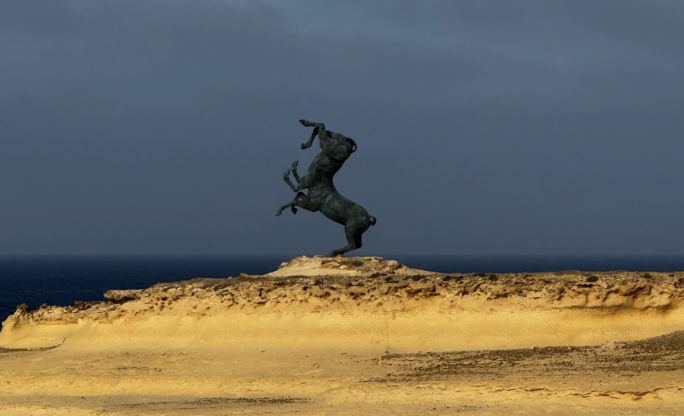 The horses of Xwejni provoke debate