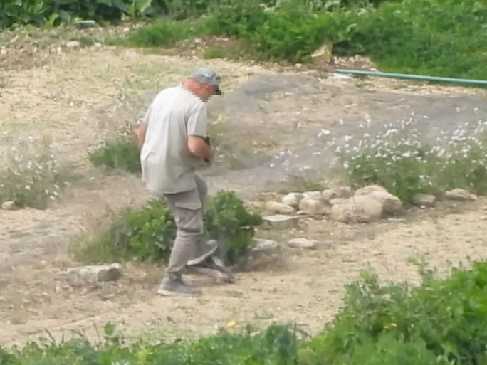 WATCH | Footage shows trapper catching and crushing protected bird in Gozo
