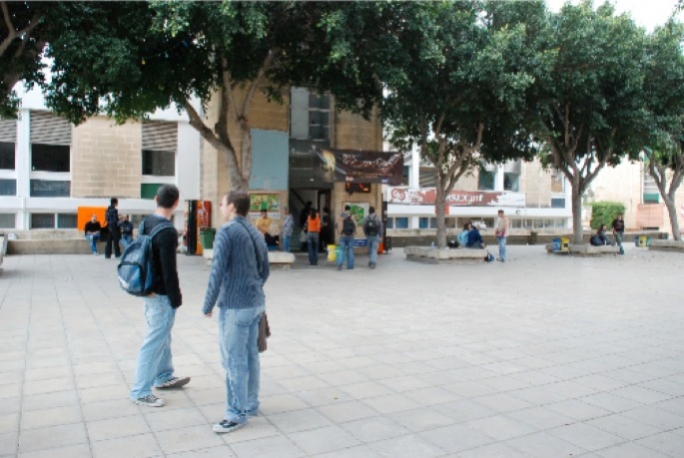 Gozitans account for 11% of new graduates in 2015