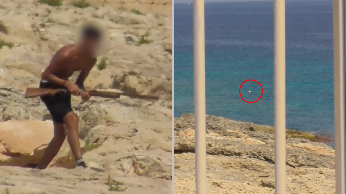 WATCH | Poachers shoot at flock of herons and kill three at Żonqor