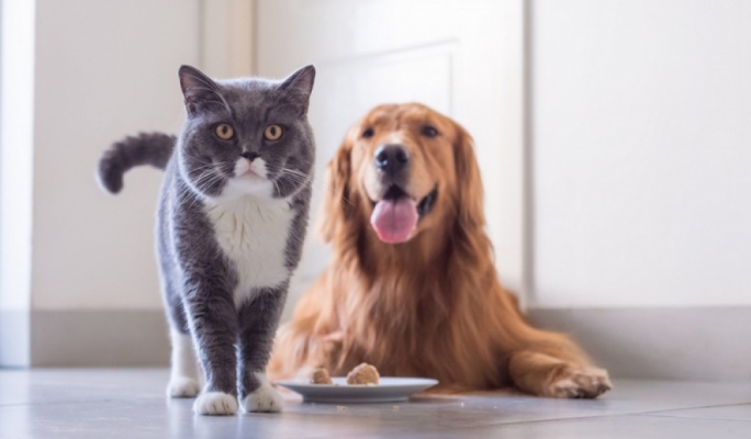 Abtak.com - Business - News Image