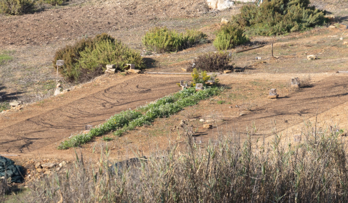 'Stop trapping' says Birdlife after fresh EU infringement action