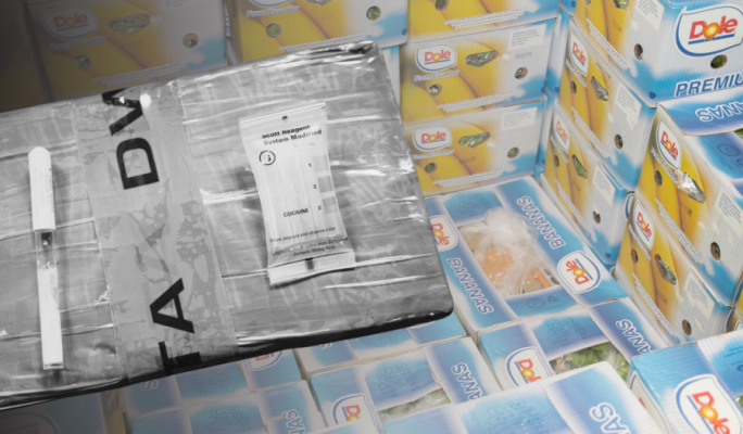 Cocaine with street value of €101 million found hidden in banana shipment