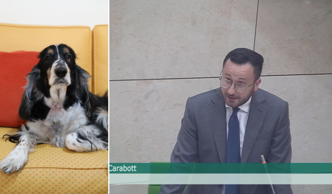 PN MP details emotional experience to call out seven-month wait for animal hospital to reopen - Vimarsana News