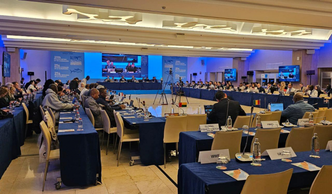 Malta poised for major increase in national tuna quota, government says