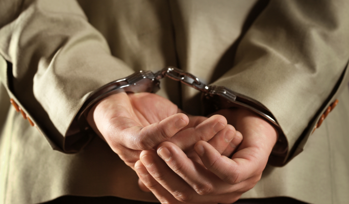 Two Maltese citizens arrested in Sicily over bird smuggling operation