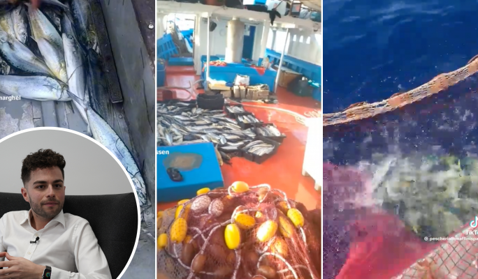 [WATCH] Bajada sounds alarm over illegal fishing of lampuki by Italian, Tunisian fishers during off-season