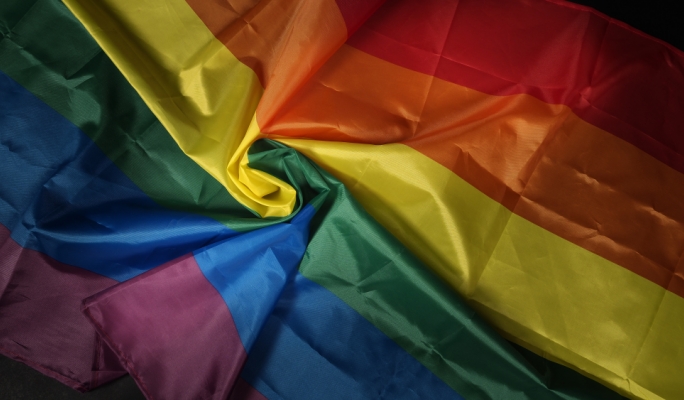 NGOs Urge Government to Extend LGBTIQA+ Rights to Migrants and Refugees - Vimarsana News