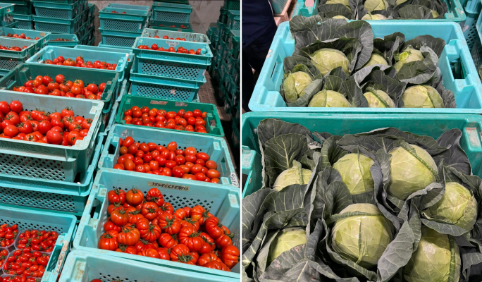 Farmers fume as Malta Marathon forces Sunday closure of pitkalija