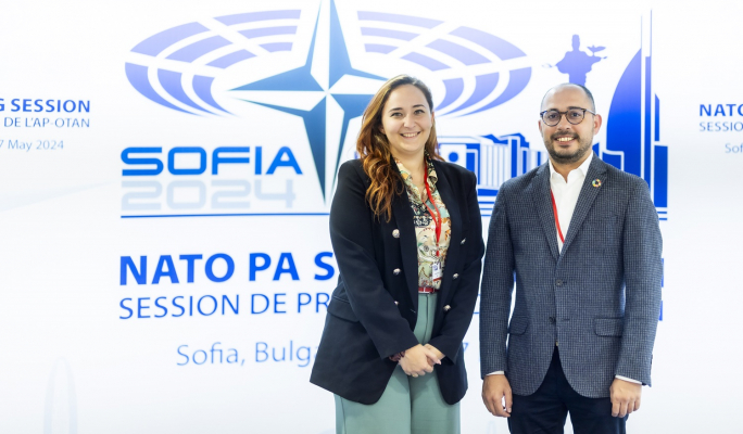 Malta made associate member of NATO Parliamentary Assembly - Vimarsana News