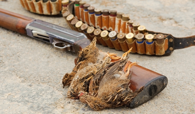 ‘Shambles’ of a system: over 6,500 Maltese bird hunters claim they ...